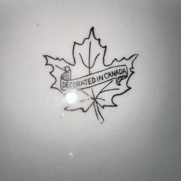 Pristine Vintage Roosevelt Memorial Park Canada Souvenir Collector’s Plate - Picture 4 of 6